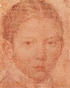 Head-Portrait of Young boy